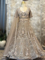Partywear lehenga boutique light grey