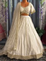 Fishcut.partywear lehenga